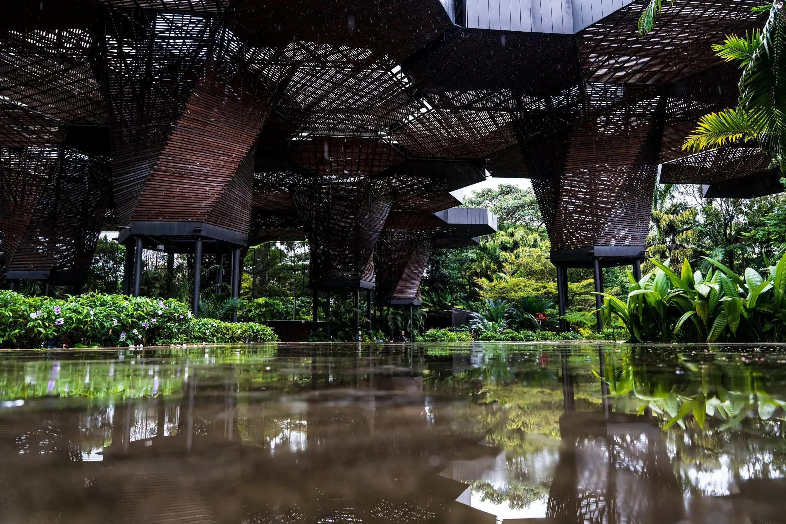 Jardín Botánico 