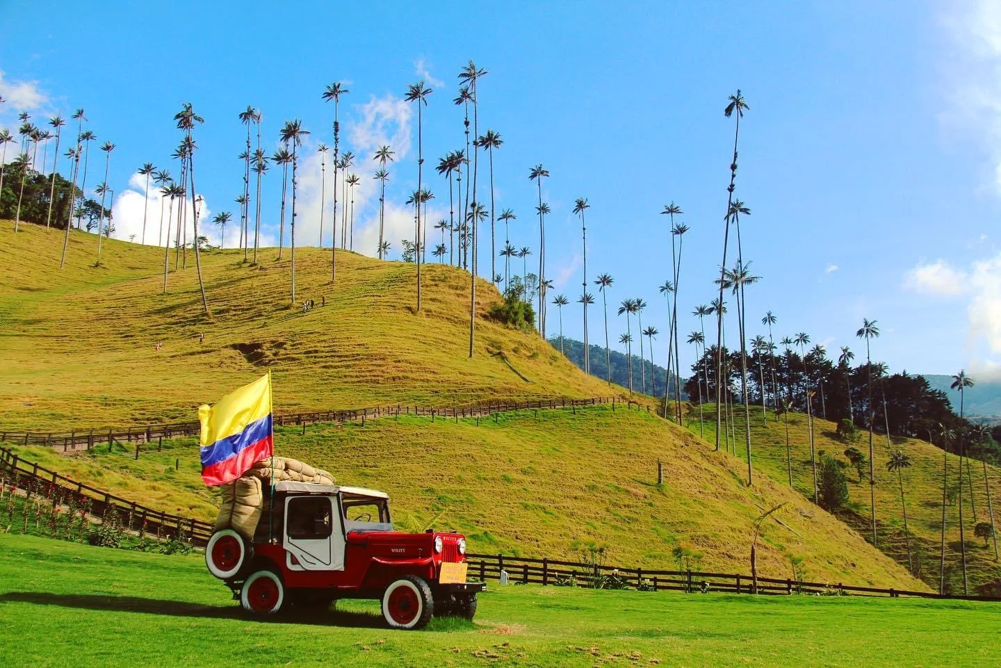 Valle del Cocora