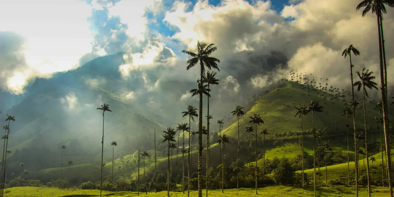 Valle del Cocora – Ruta Cafetera de lujo en Colombia
